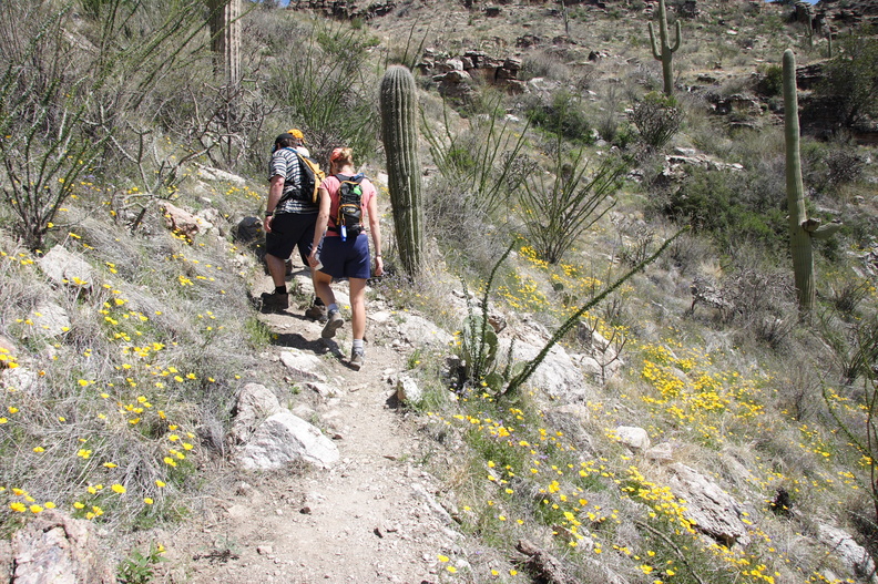 Tucson-Esperero Trail_23.JPG